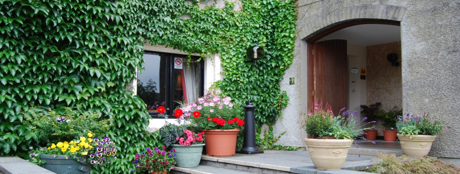 The ivy-framed entrance to the house, stepped in summer flowers