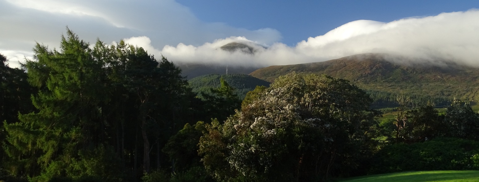Cloud spilling over the Mourne summits beyond the estate's trees
