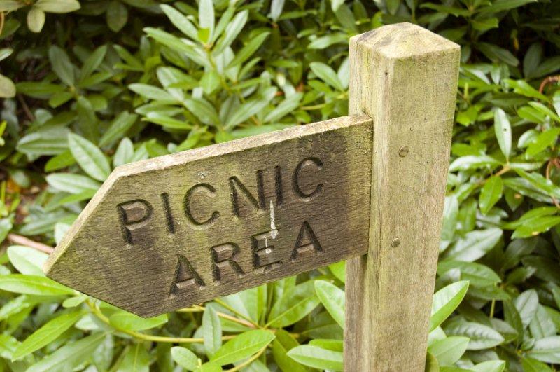 The carved wooden 'Picnic Area' sign on the woodland trail