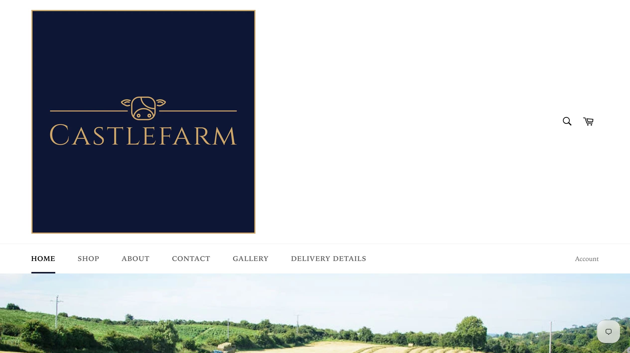 Castle Farm's current public homepage: the CASTLEFARM logo, main navigation and the opening farm-field photograph, with arrival pop-ups closed