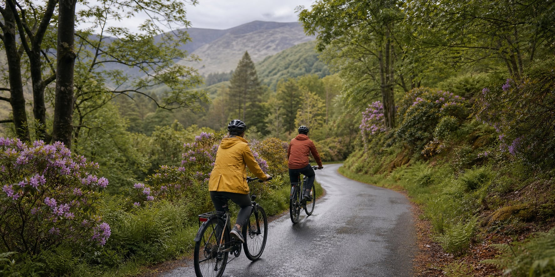 Two leisure cyclists descending a wooded Mourne road